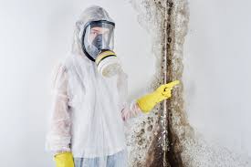 Best Attic Mold Removal  in Upper Exeter, PA